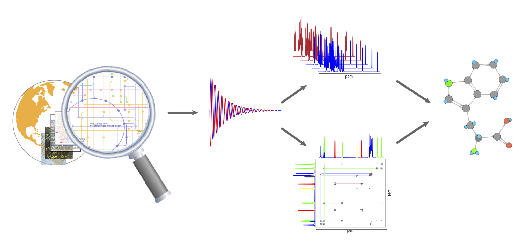 Metabolomics Nuclear Resonance Facility